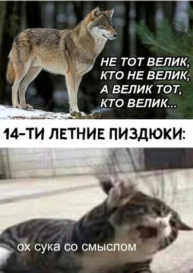 Смешные мемы со смыслом Чёрная материя зловеще хихикает ЯПлакалъ Мемы, Смешно, Матери