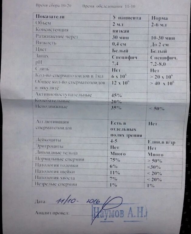 Лейкоциты в спермограмме. Лейкоциты в спермограмме