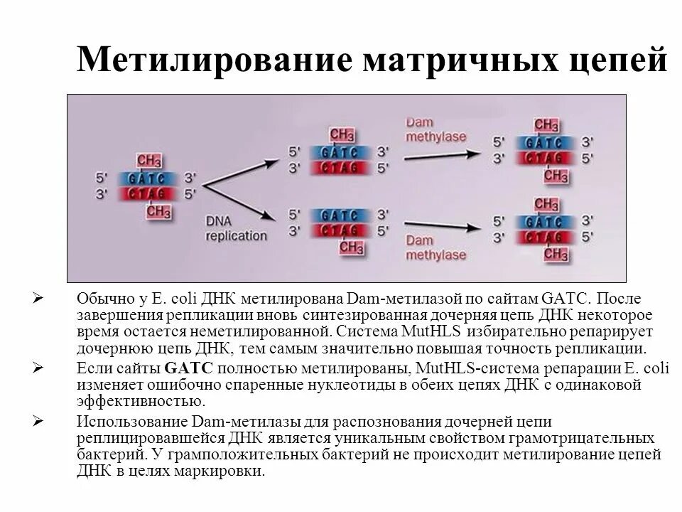 Матричная репликация