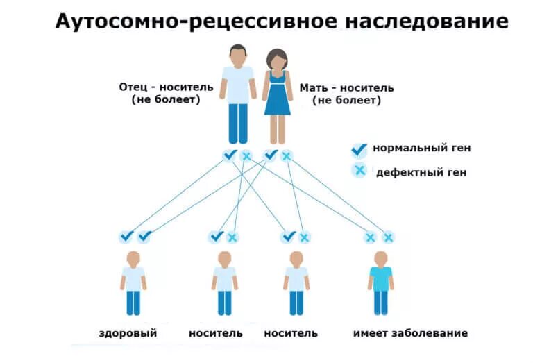 Отец отца или матери ответ. Аутосомно-рецессивный Тип наследования схема. Аутосомно-рецессивное наследование схема. Пример заболевания аутосомно-рецессивный схема. Аутосомно-рецессивный Тип.