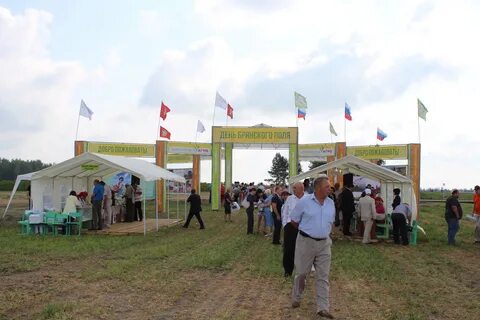Погода в клепинино