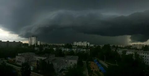 Туча двор