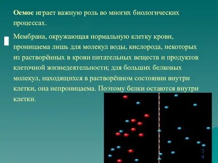 Биологическая роль осмоса