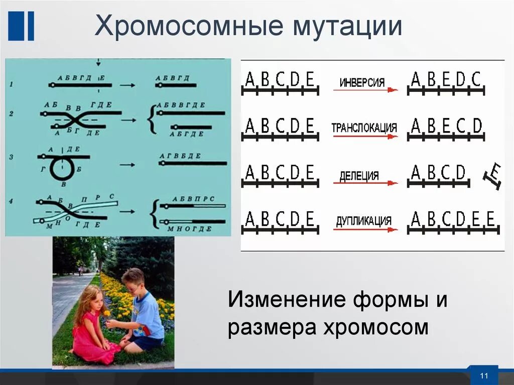 Изменение количества хромосом мутация. Хромосомные мутации. Типы хромосомных мутаций. Хромосомные мутации примеры. Хромосомные мутации схема.