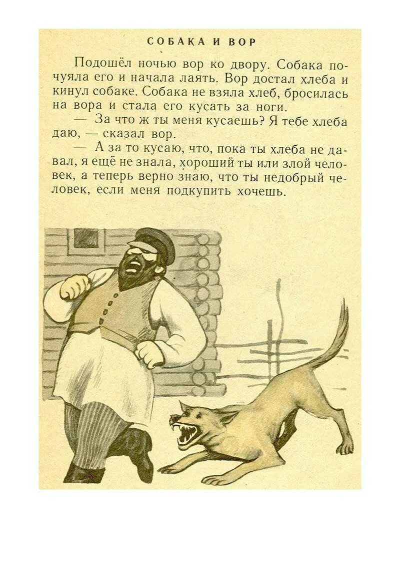 Басни толстого класс. Басни Льва Николаевича Толстого. Басни Льва Николаевича Толстого короткие. Басни Льва Николаевича Толстого 4 класс короткие. Лев Николай толстой басни.