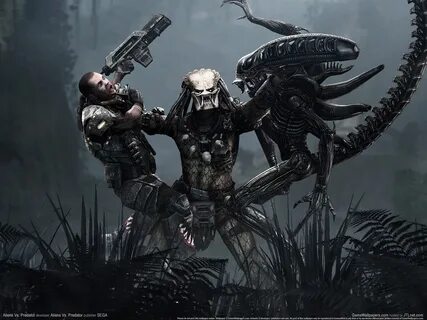 Alien vs predator пк