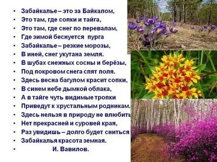 Забайкальский край песня