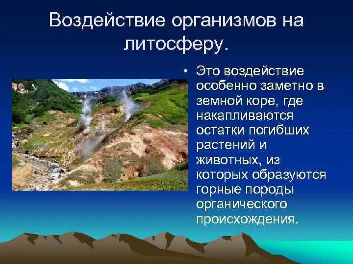 Значение для человека имеет литосфера. Воздействие организмов на литосферу. Воздействие человека на литосферу. Влияние человека на литосферу. Воздействие организмов на земные кору.