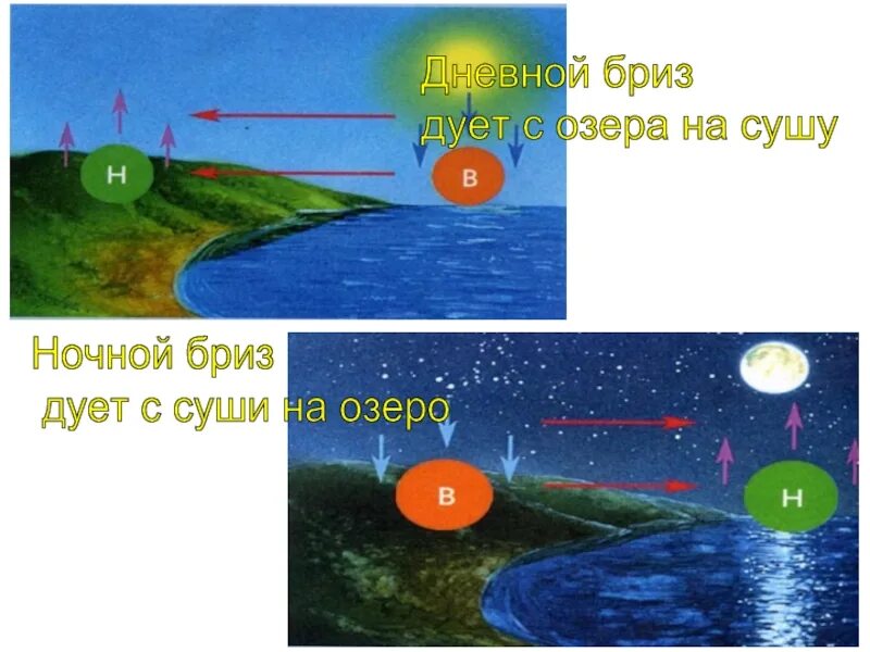 Что такое бриз в географии. Дневной бриз дует. дневной и ночной бриз. схема дневного бриза. направление дневного и ночного бриза.