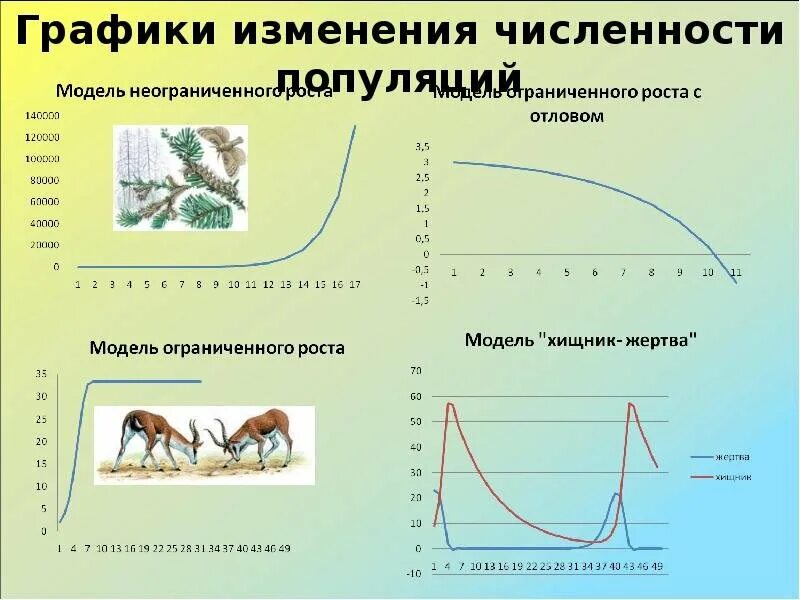 Стационарная кривая. Графики изменения численности популяций. График динамики численности популяции. График изменения численности популяции. Механизм динамики численности популяции.