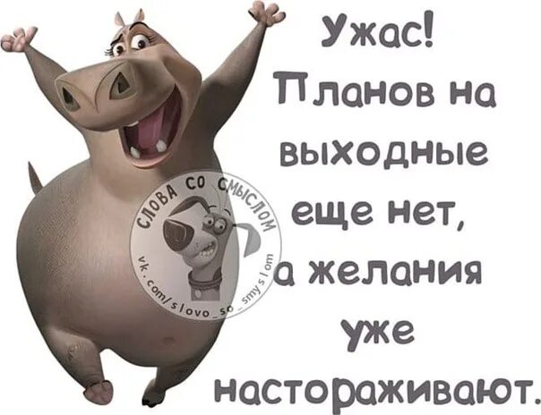 Выходные слова. Цитаты про выходные. статусы про выходные прикольные. статусы про выходные. статусы на выходные в картинках.
