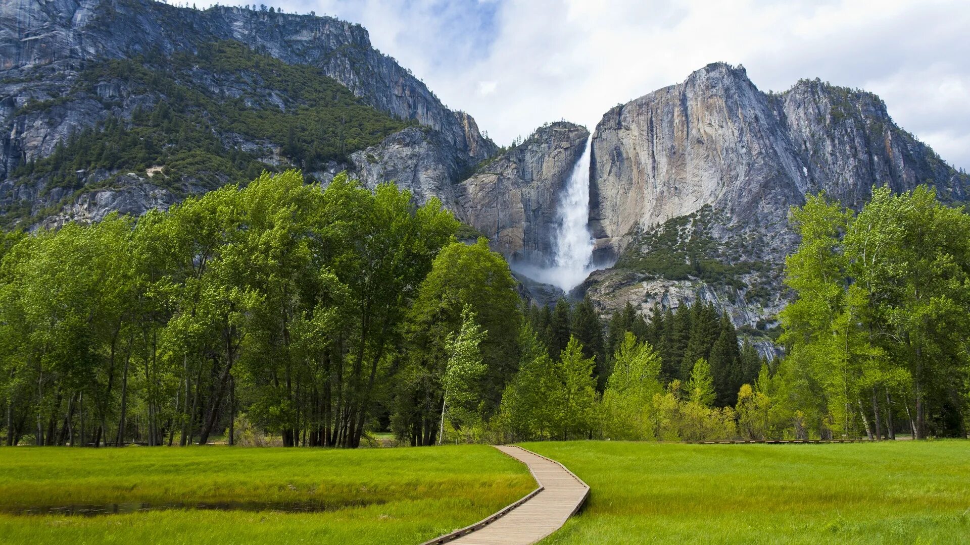 Большие картинки на рабочий. Йосемитский национальный парк деревья. Йосемитский водопад. Йосемити национальный парк осенью. Йосемитский водопад дерево.