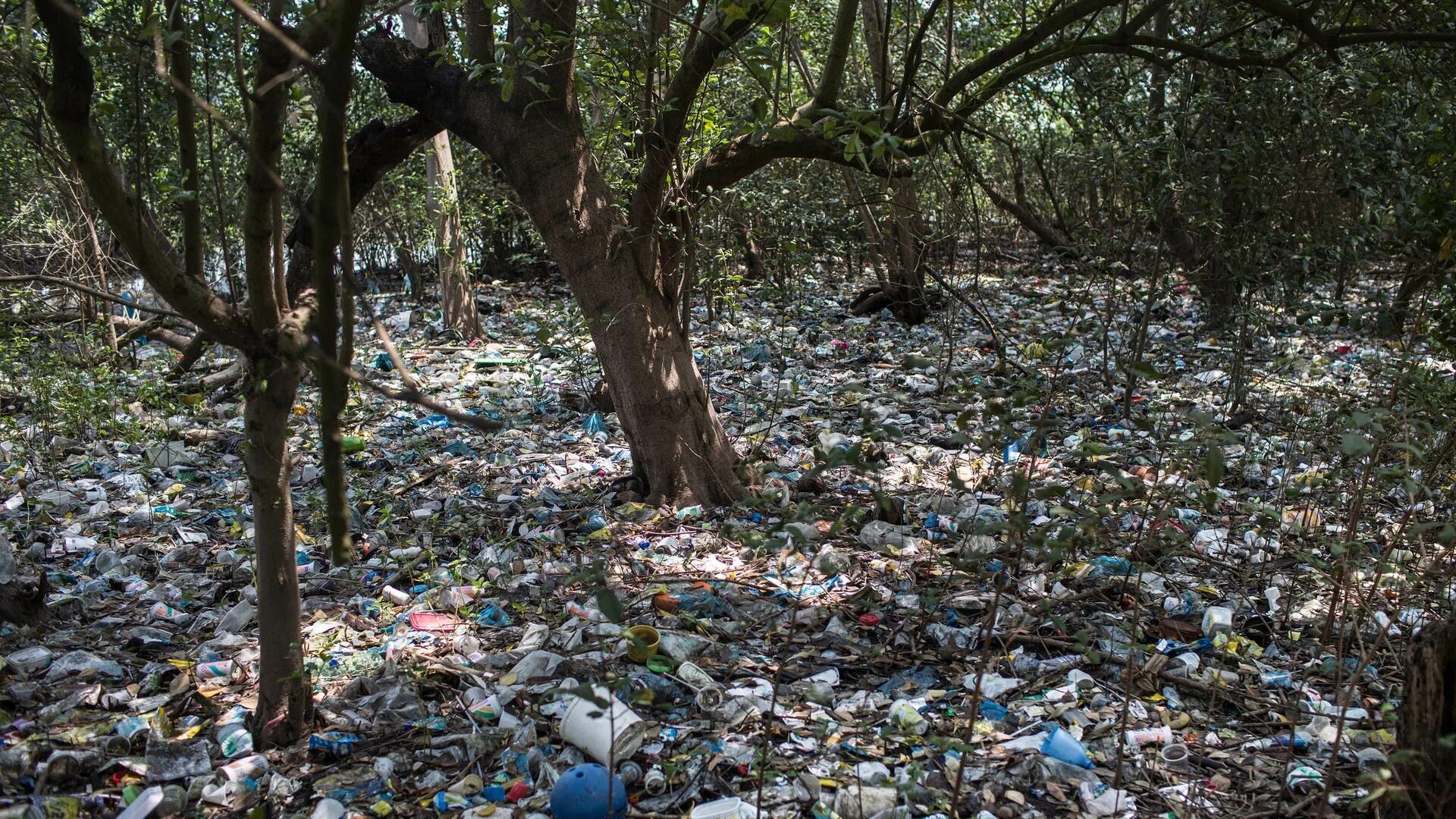 Rains waste. Рио де Жанейро мусор. Залив Гуанабара в Рио-де-Жанейро мусор. Загрязнение окружающей среды в Бразилии. Загрязнение экологии.