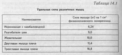 Большая удельная сила