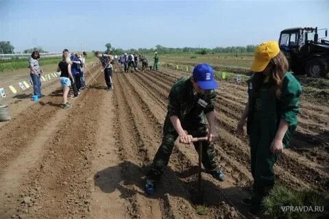 Погода в надежде