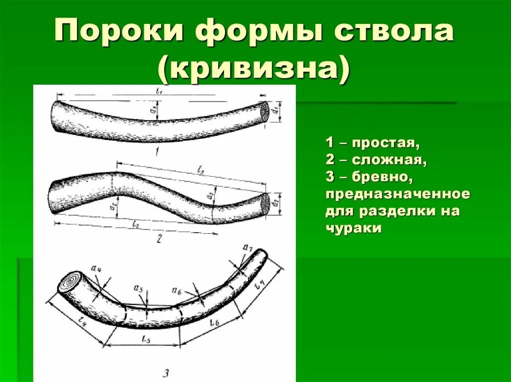 Пороки древесины кривизна. Порок древесины криаизна. Пороки формы ствола дерева. Пороки формы ствола (кривизна и нестандартный сбег). Изгиб ствола