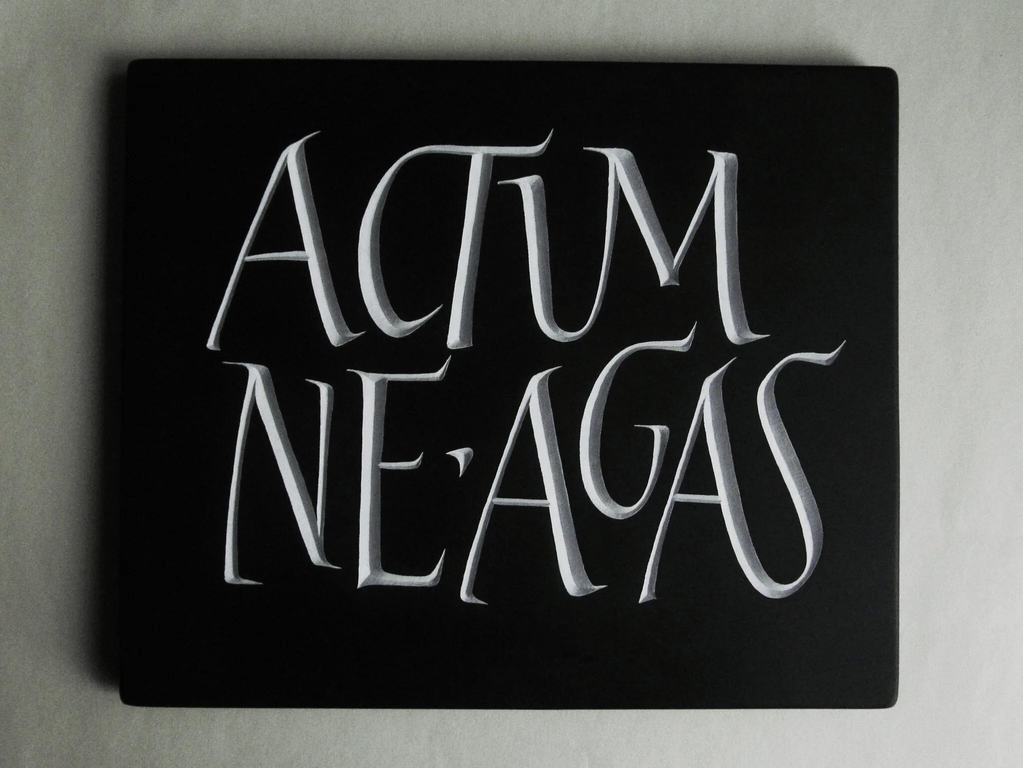 Actum ajunt ne agas. Actum ne Agas. Actum ne Agas Татуировка. Actum ne Agas эскиз. Перевести Actum ne Agas.