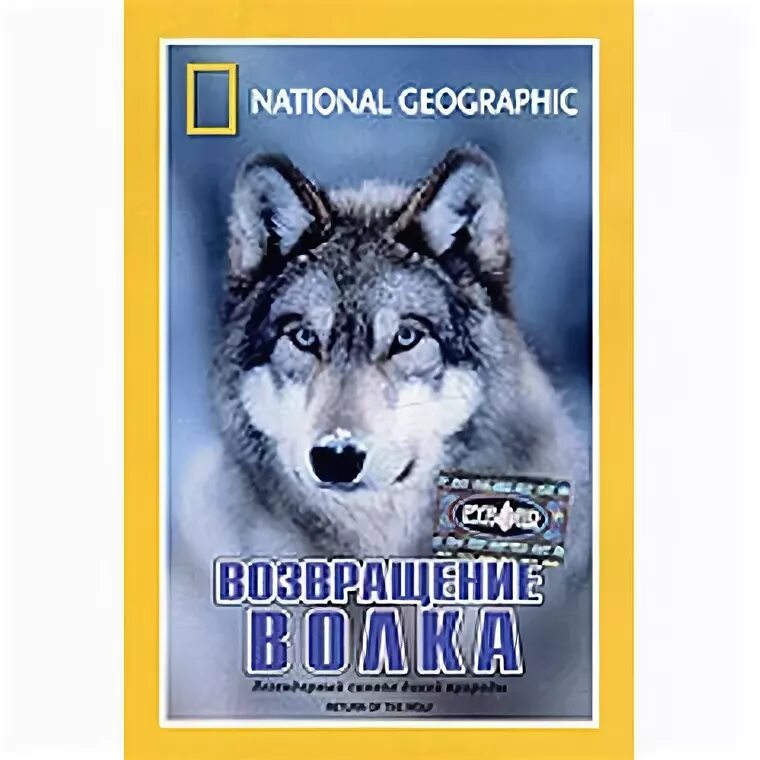 Балто морис. Серебряный волк 1999 постер. Dvd 100 волк. Серебряный волк постер. Волки 2014 постер.