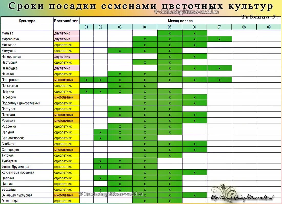 Календарь посадки цветов на рассаду. Сроки посева семян на рассаду. Сроки высадки семян на рассаду. Рассада однолетних цветов. Календарь посадки комнатных растений на март