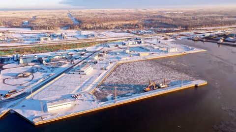 Завод в усть луге