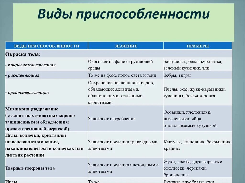 Приспособительное Особености строения и поведения животных. Типы окраски животных. Приспособительные особенности строения. Виды приспособленности.