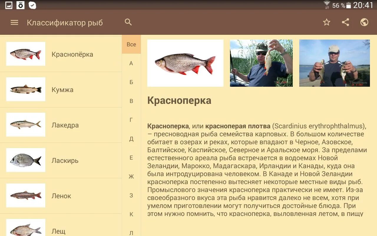 Как понравиться рыбам. Лакедра рыба семейство. Какие рыбы имеют промысловое значение. Классификация рыбных товаров. Красноперая рыба.