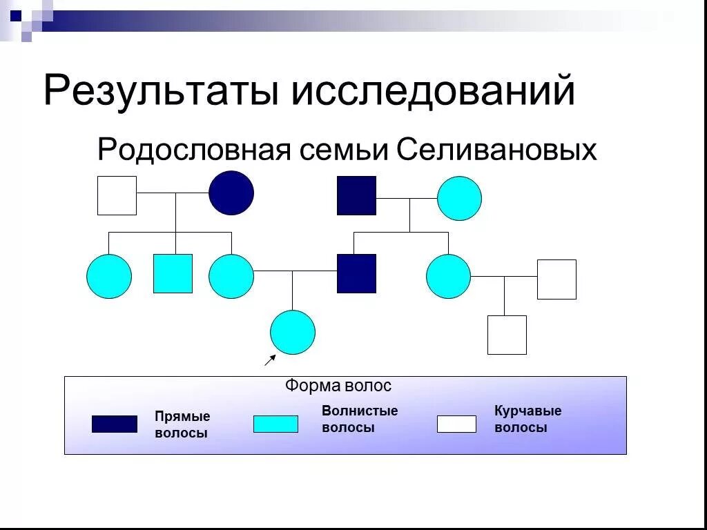 Генотип волнистых волос. Схема родословной генетика примеры. Родословная по цвету глаз генетика примеры. Составление родословной семьи по генетике. Родословная семьи генетика.