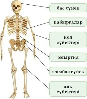 Дачалар туралы онлайн порно видео