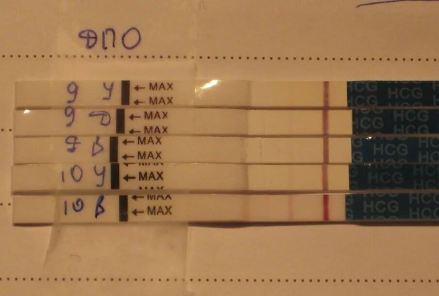 Тест 9 динамика. 10 ДПО эвитест динамика. 10 ДПО Эви тест. Динамика тестов на беременность по ДПО эвитест. Эви тест 9 день ДПО.