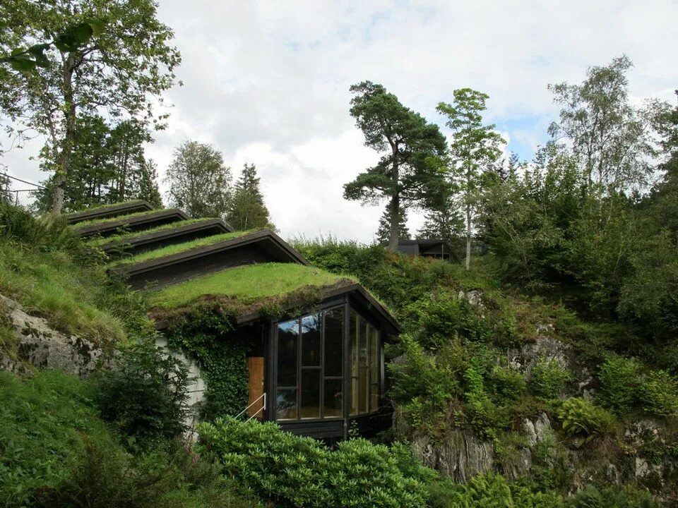 Земляная крыша. Зеленая кровля Норвегия. Дом с травяной крышей. Домик с травяной крышей. Дом с Земляной крышей.