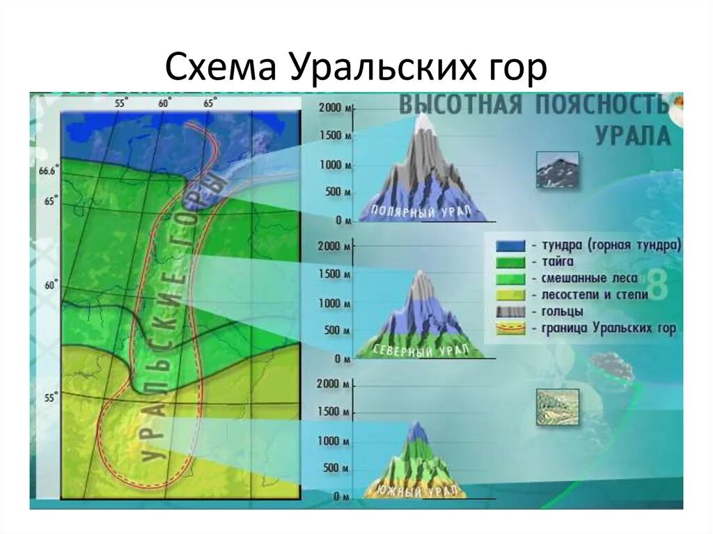 Климат и природные зоны урала. Схема ВЫСОТНОЙ поясности гор Урала. Уральские горы Высотная поясность схема. Высотная поясность уральских гор. Схема ВЫСОТНОЙ поясности уральских гор.