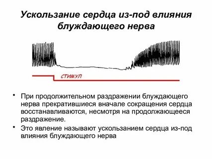 Под влиянием сердца