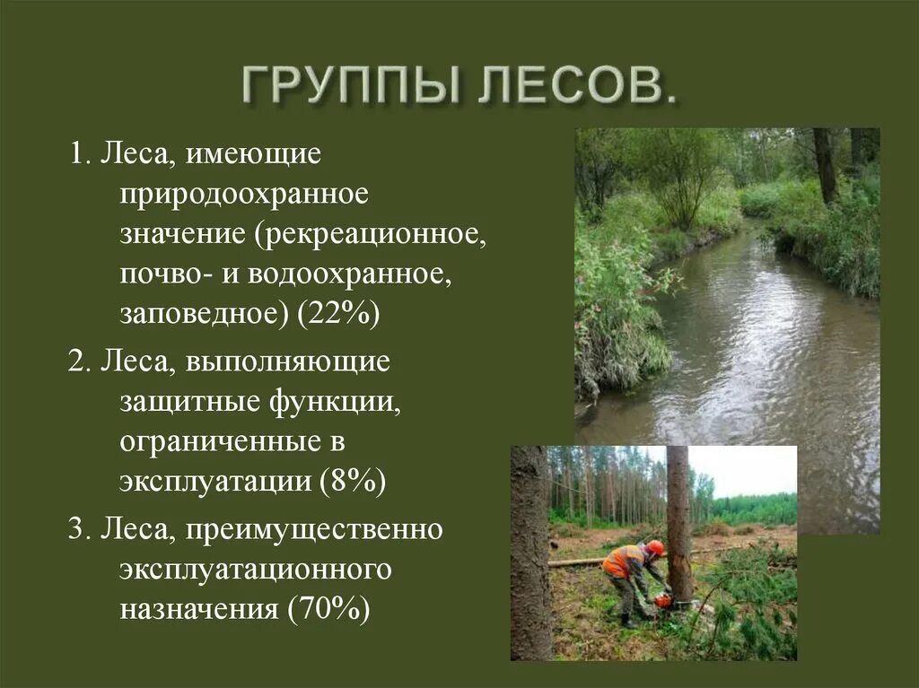 Какие есть группы лесов. Группы лесов лесного фонда России. Леса первой группы. Три группы леса. 3 Группы лесов.