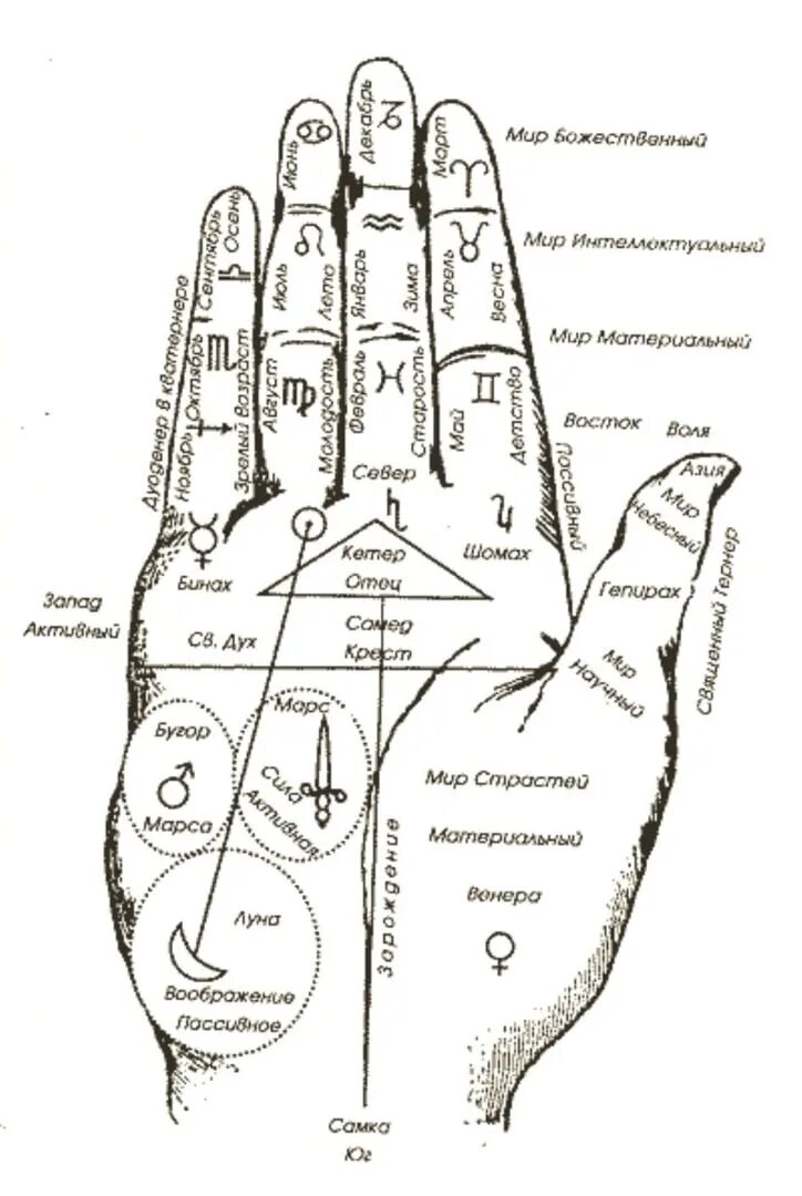 Хиромантия левой руки. 1 Фаланга мизинца хиромантия. Знаки на фалангах пальцев рук хиромантия. Линии на подушечках пальцев хиромантия.