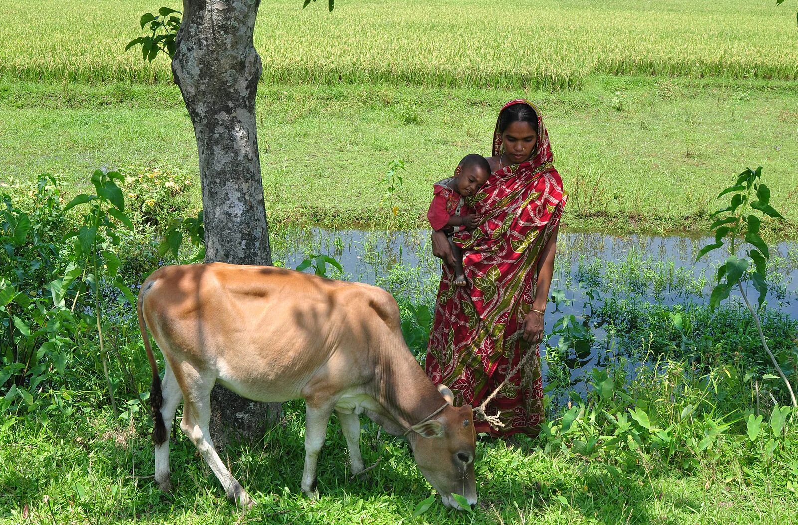 Village woman