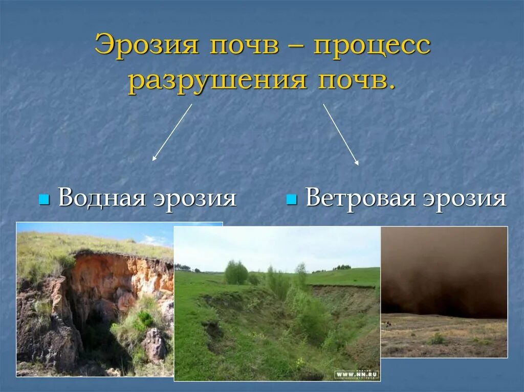 Какие процессы приводят к разрушению почв. Какие процессы приводят к разрушению почв
