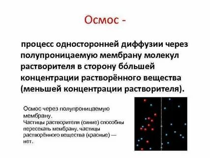 Сначала воск или осмос