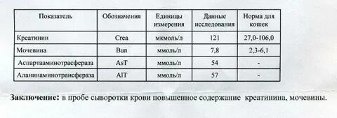 Креатинин повышена у кота