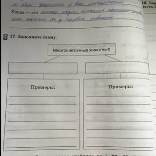 Заполните схему чем же должен жить человек