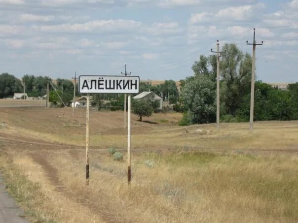 Погода чернышковский волгоградская область алешкин. Хутор Алешкин. Алешкин Волгоградская область Чернышковский район. Село Алешкино. Алешкин Херсонская область.