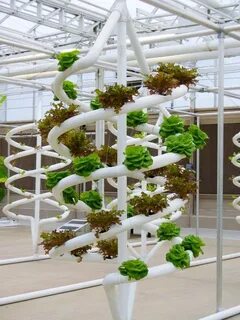 Искусственный выращивания