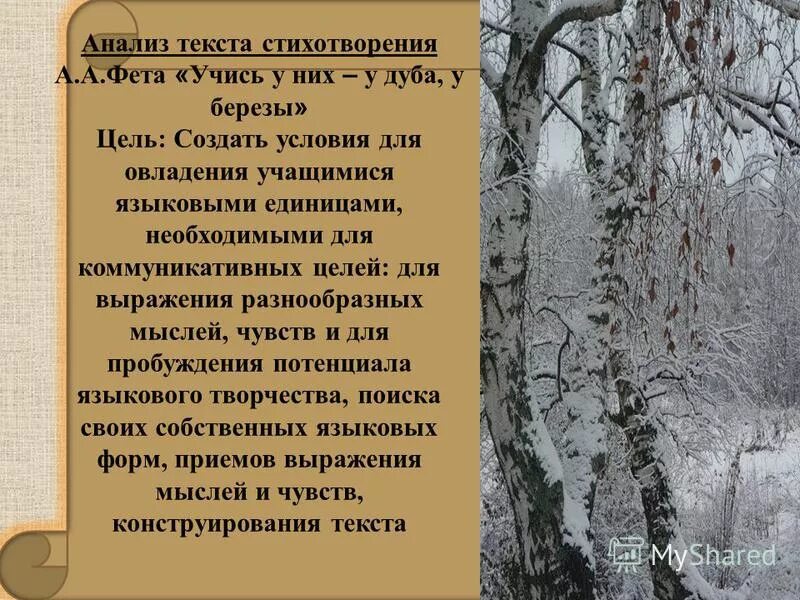 Учись у дуба у березы фет. Учись у них у дуба основная мысль. Кругом зима жестокая пора фет. У дуба у березы фет. Фет афанасий у дуба и берёзы.