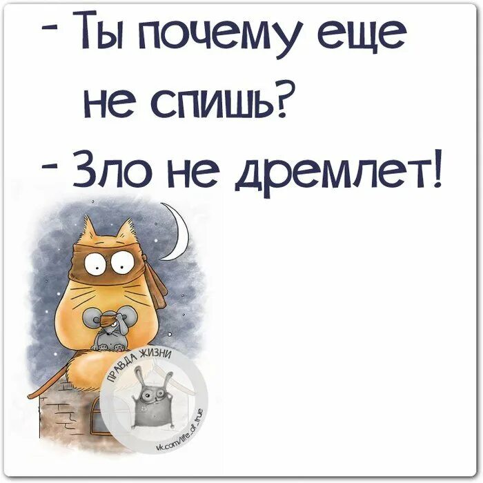 Кому не спится в ночь глухую. Не спится прикол. Открытки не спится. Хочу спать юмор. Спать прикол.