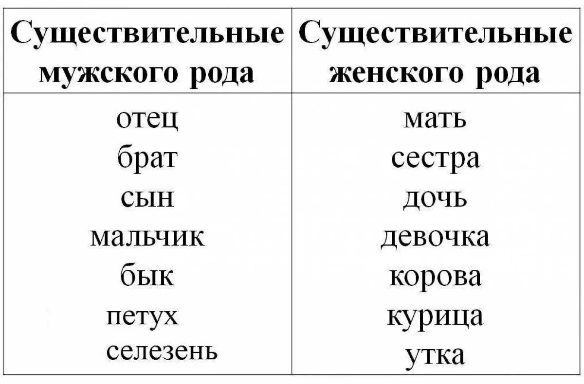 Девушка мужского рода. Род имен существительных. Мужской род существительных. Род имен существительных задания. Род имён существительных 3 класс.