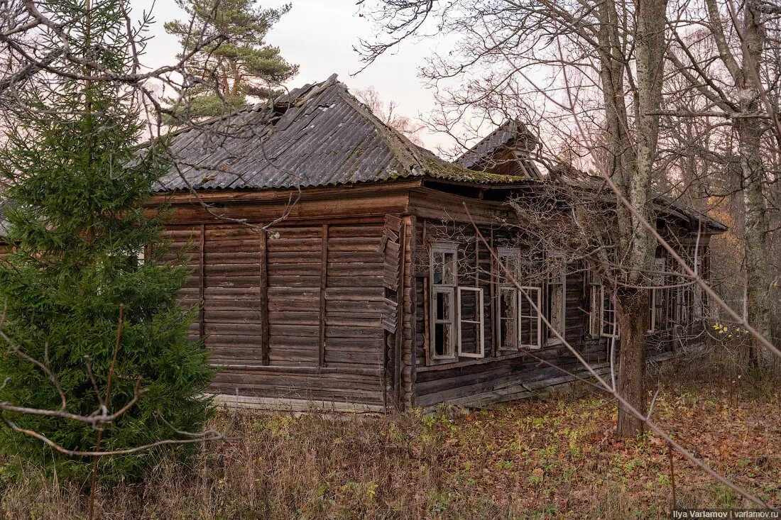 Деревня Ранцево Кувшиновского района. Тверской области. Кувшиновский район, деревня Бор. Деревня Дядино Кувшиновский район Тверская область. Бор Кувшиновский район. Работа и жилье в деревне