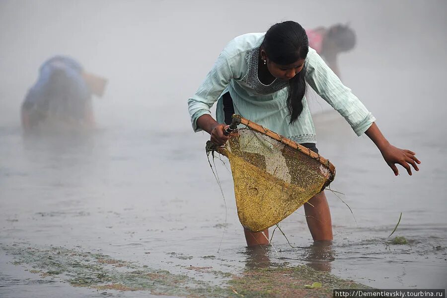 Удивитель. Индийские женщины ловят рыбу. Моющиеся женщины Непала. Женщина в рыболовной сети. Женщины Индии ловят рыбу руками.