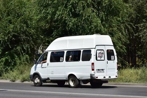 Луидор 2234