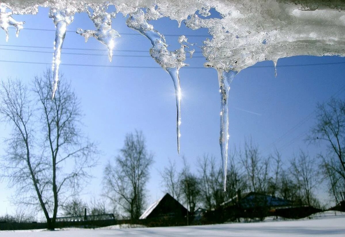 Звоны мерзлые. Весенняя капель. Сосульки весной.