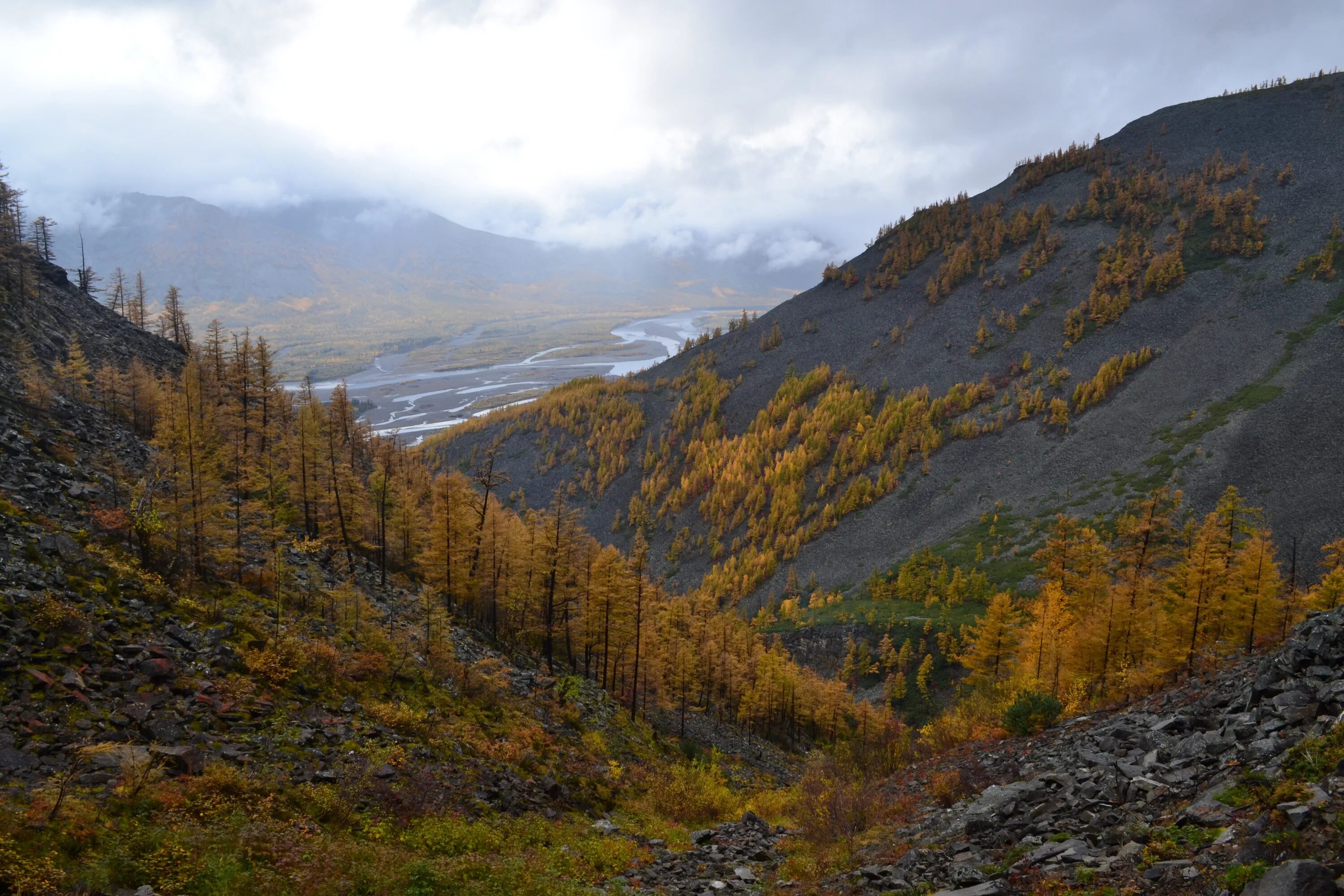 Верхоянский хребет. Осоковая горная тундра. Хребет черского якутия. Озеро лыбалах якутия верхоянский хребет. Верхоянский хребет якутия.