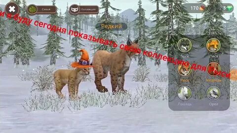 Рысь стар рейл